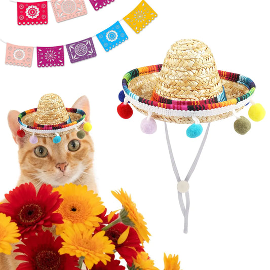 Fiesta Pompom Pet Sombrero